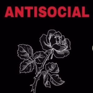 Meet your Posher, Brooklynn